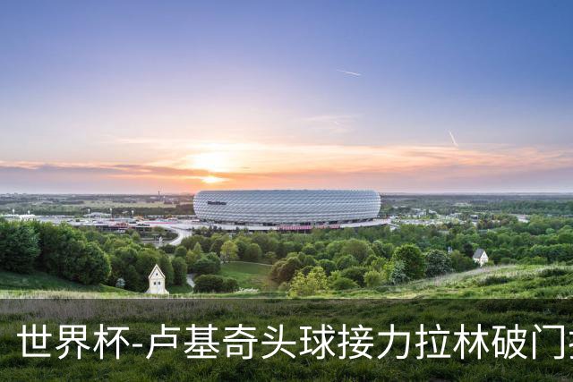 世界杯-卢基奇头球接力拉林破门扳平 加拿大1-1波黑